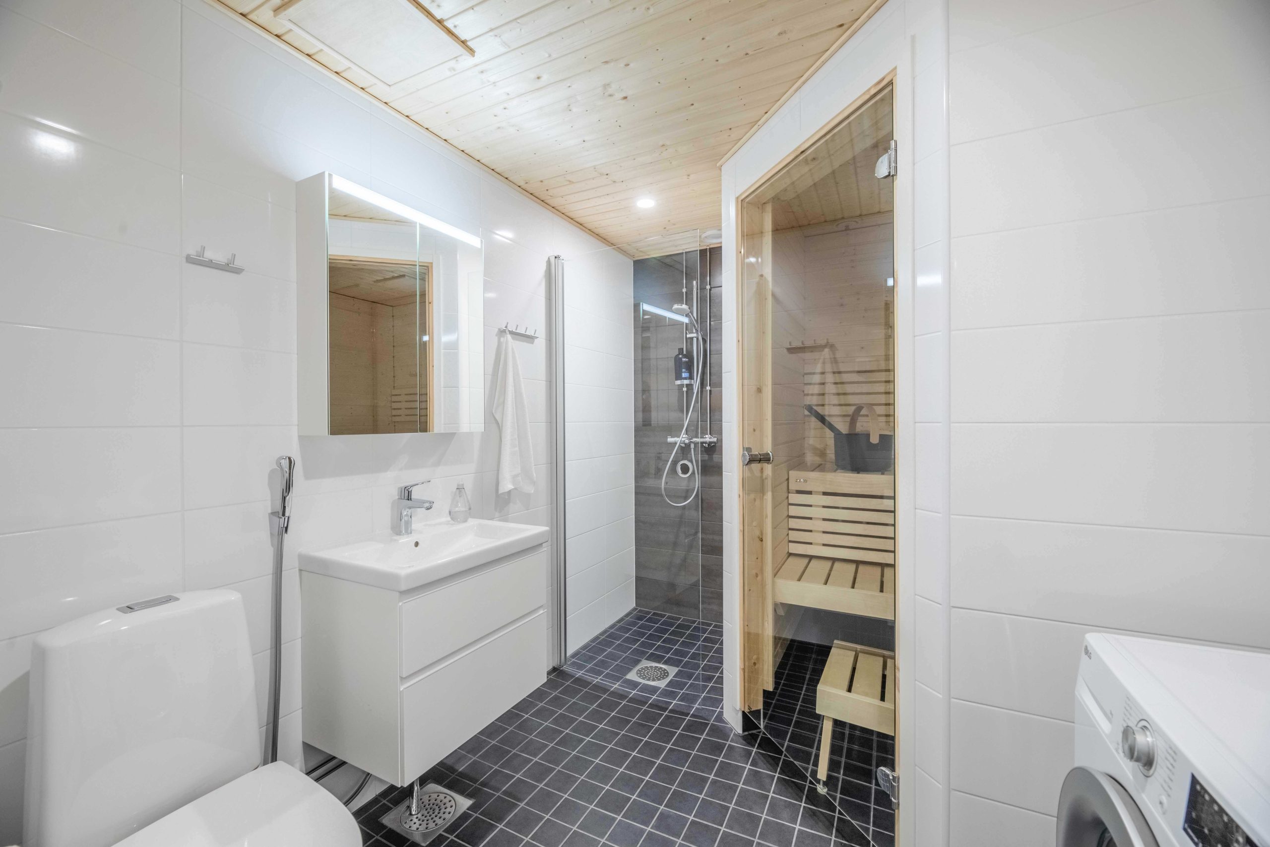 010_A27_toilet_1
